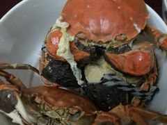 -喜洋洋蟹庄(阳澄湖店)