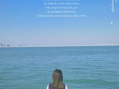 -海堤纪念公园