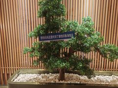 -康悦印象·美容·茶艺·国际芳香疗法(海悦店)