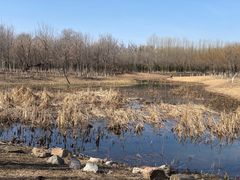 -东郊湿地公园