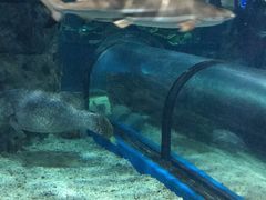 -福州罗源湾海洋世界旅游区