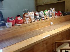 -柴务处·柴犬主题狗咖