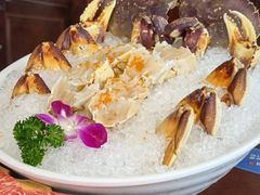 -东海怡品海鲜豆捞(舟宿夜江店)