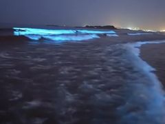 -坛南湾阿强农家乐.海鲜大排档老字号(福州地标美食店)
