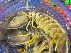 -吴记富苑(朝阳店)