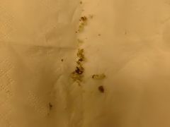 -耳道精致采耳(运达汇店)
