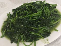 鸡油番薯叶-醉贤居