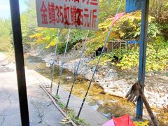 -可心烤鱼