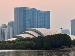 -合肥大剧院