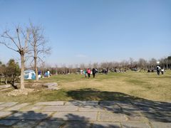 -上海海湾国家森林公园