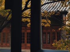 -听牧牛庄(南屏店)