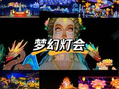 -淄博花灯齐彩城