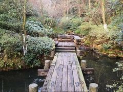 -杭州半山国家森林公园