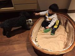 -上海崇明金茂凯悦酒店