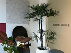 -创世纪情缘·婚恋(杭州家和店)