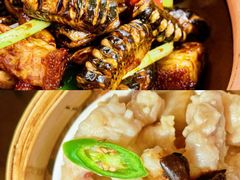 -VT101维多利广场