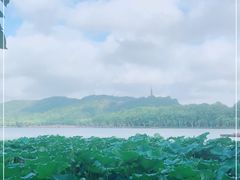 -湖畔居茶楼(湖滨店)
