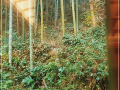 -常德桃花源景区