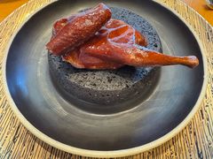 -广州富力君悦大酒店空中花园