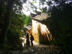 -杨家堂村