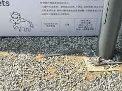 -金鸡湖桃花岛