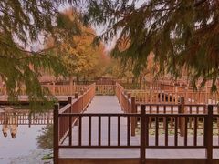 -五缘湾湿地公园