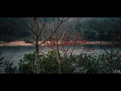 -海南霸王岭国家森林公园