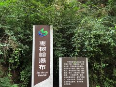 -鲁山国家森林公园