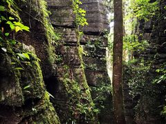 -梭布垭石林景区