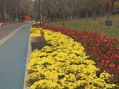 -黛秀湖公园