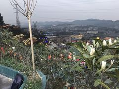 -枇杷园食为鲜火锅(南山店)
