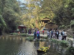 -桂林古东瀑布景区