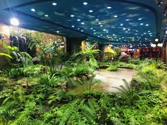 -凯德广场(学府店)