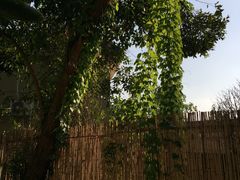 -云里小坐·小院里·团建·宴请·下午茶(三圣乡店)