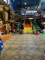 -卡通尼·Safari非洲探索乐园·生日会(金桥国际商业广场店)