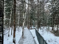 -峡谷浮石林景区