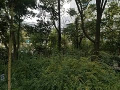 -成都市活水公园