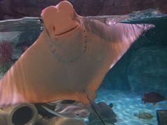 -沈阳海洋探索中心