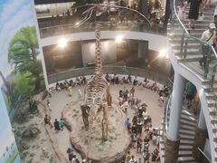 -辽宁古生物博物馆