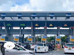 -澳洲牛奶公司(佐敦店)