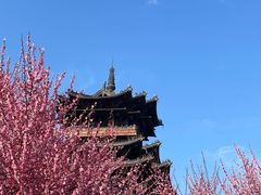 -杭州半山国家森林公园