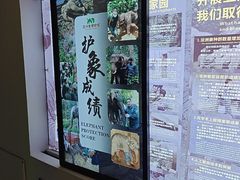 -野象谷景区