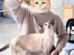 -豆逗聊愈猫阁Easy Life