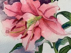 -六出私塾LiuChu•成人美术书法系统课程专业画室(熊婆婆的花园店)