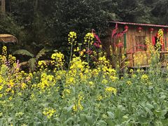 -广西龙虎山风景区