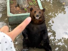 -西霞口神雕山野生动物世界