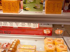 -蒲公英(五里店)