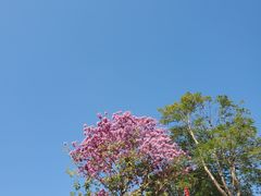 -白石龙音乐公园