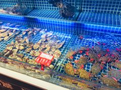 水产区-必点海鲜·鲅鱼水饺(鞍山西道店)