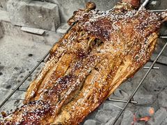 -羊门客在·烤盐池滩羊·川菜